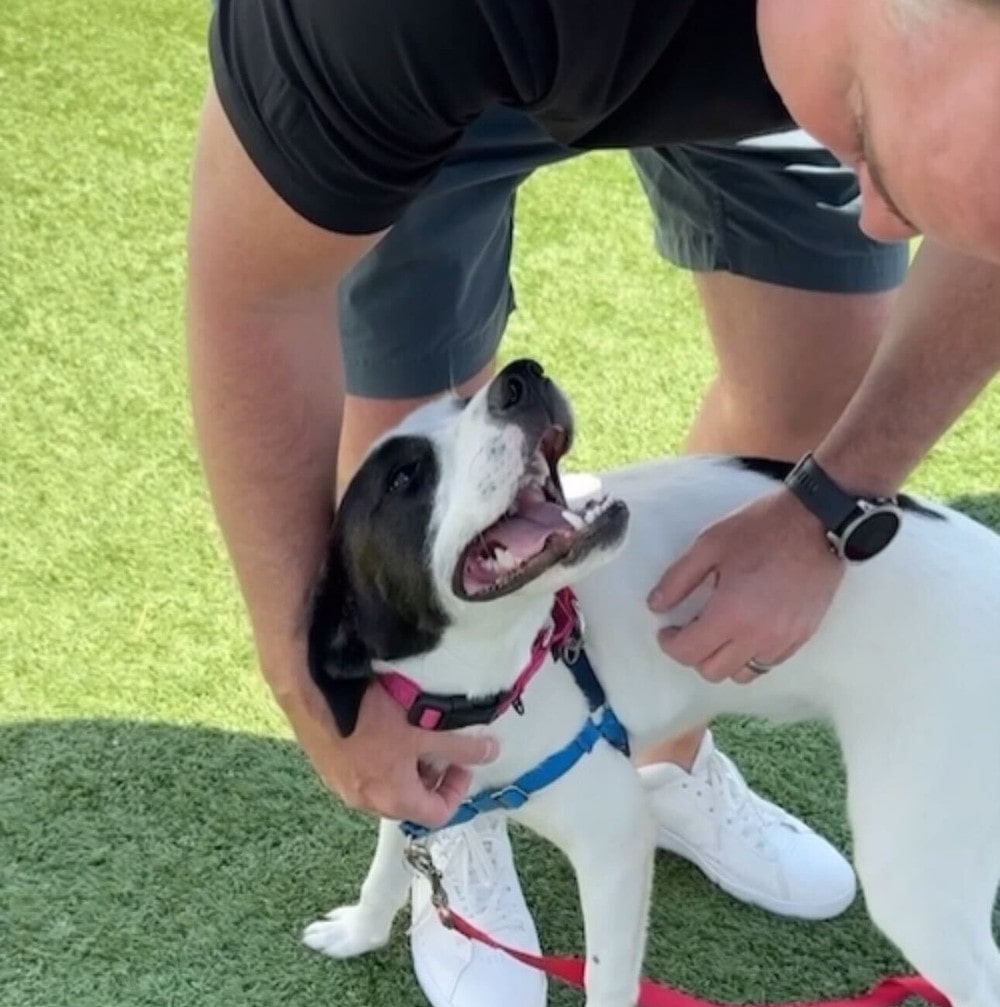 Mike Agruss Petting a Dog